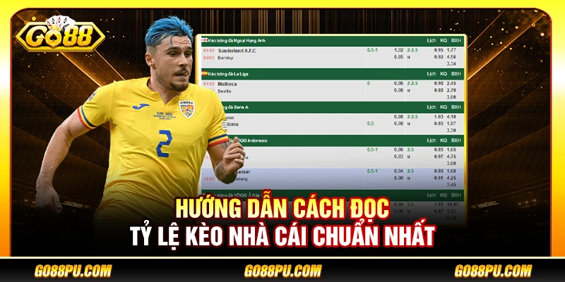 Hướng Dẫn Cách Đọc Tỷ Lệ Kèo Nhà Cái